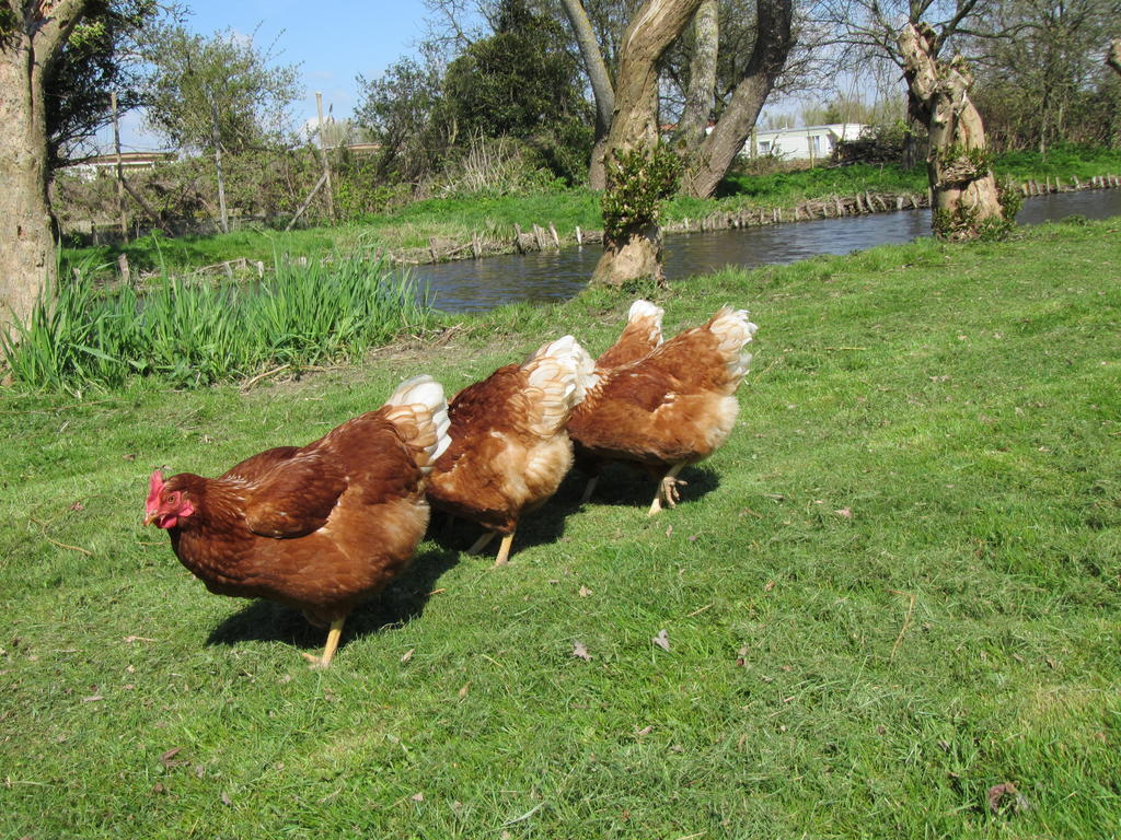 Bed&Brood De Straverdonk Graft Екстериор снимка